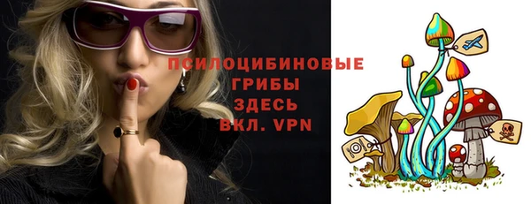 гидра Осташков