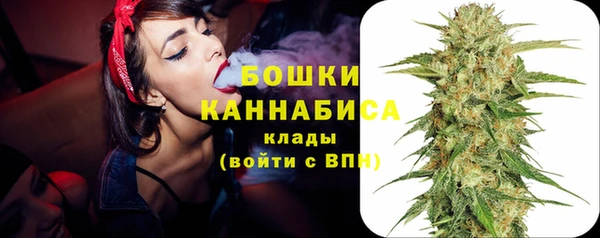 соль ск Пестово