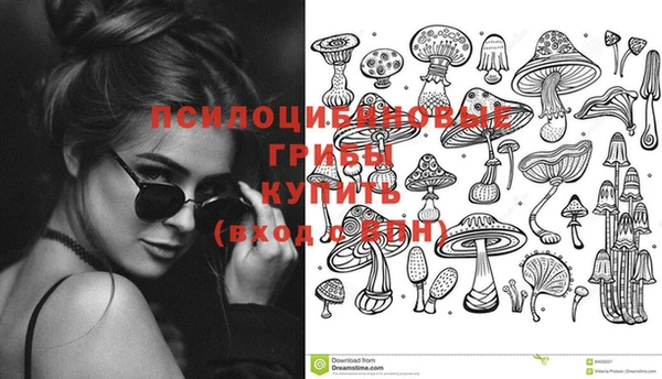 СК Остров