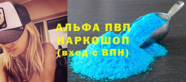 молекула духа Кадников