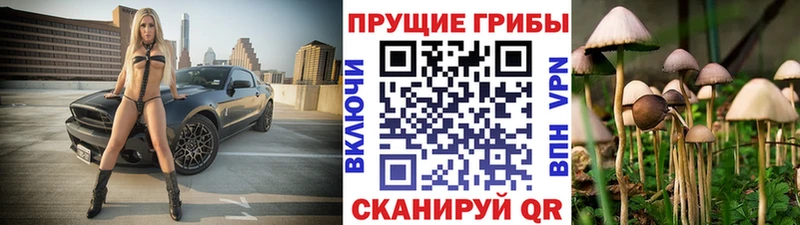 Галлюциногенные грибы Cubensis  что такое   Инта 