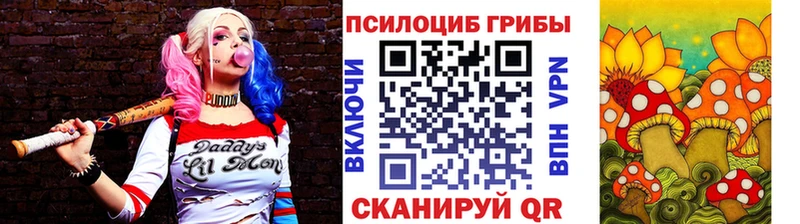 Галлюциногенные грибы Cubensis Инта